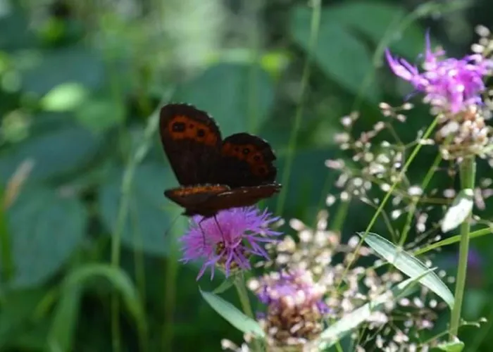 Omert Apartment Ehrenberg (Hessen)